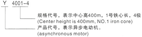 西安泰富西玛Y系列(H355-1000)高压太湖三相异步电机型号说明